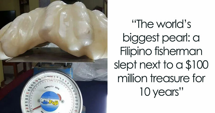 “He Was Inside The Mouth Of A Humpback Whale”: 79 Strange And Fascinating Facts About The Deep Dark Ocean (New Pics)