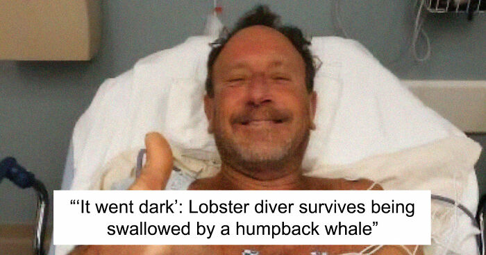 “He Was Inside The Mouth Of A Humpback Whale”: 79 Strange And Fascinating Facts About The Deep Dark Ocean (New Pics)