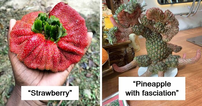 “Lookin AI Generated”: 100 Times Mother Nature Went Off Script And Created These Freaky Plants
