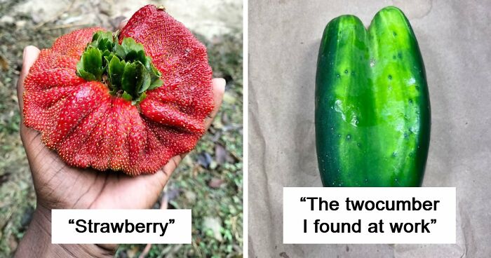 “Lookin AI Generated”: 100 Times Mother Nature Went Off Script And Created These Freaky Plants