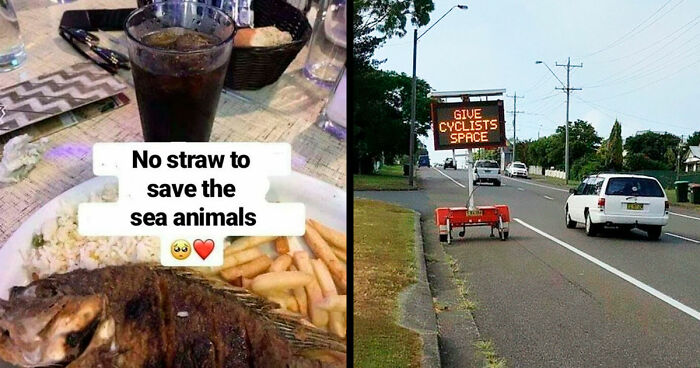 75 Ironic Posts That Might Make You Chuckle