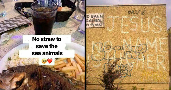 75 Ironic Posts That Might Make You Chuckle