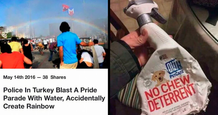 75 Times Irony Was Taken To Another Level