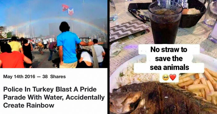 75 Times Irony Was Taken To Another Level