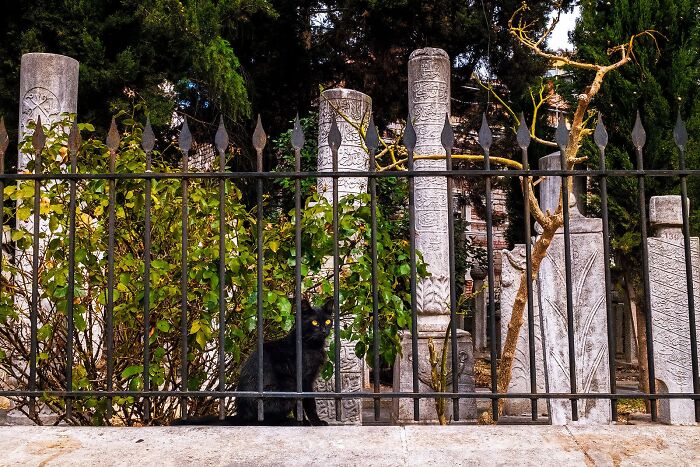 80 Street Photos By Dan Morris That Capture Cities From Perspectives Most People Miss