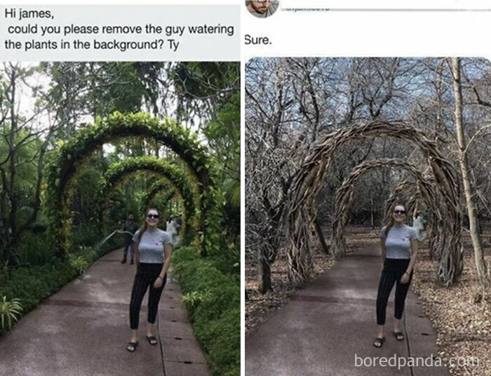 A blursed meme shows a before-and-after image where a man watering plants is removed, but the plants are also withered.