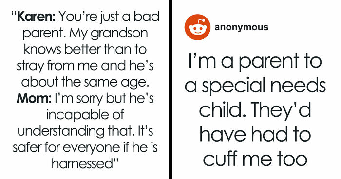 Mom Uses Harness On Autistic Kid, Old Woman Thinks It’s Just Bad Parenting, Kid Ends Up Missing