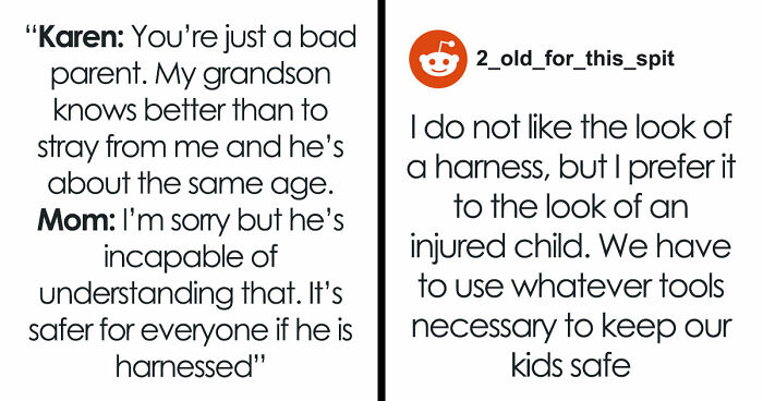 Mom Uses Harness On Autistic Kid, Old Woman Thinks It’s Just Bad Parenting, Kid Ends Up Missing