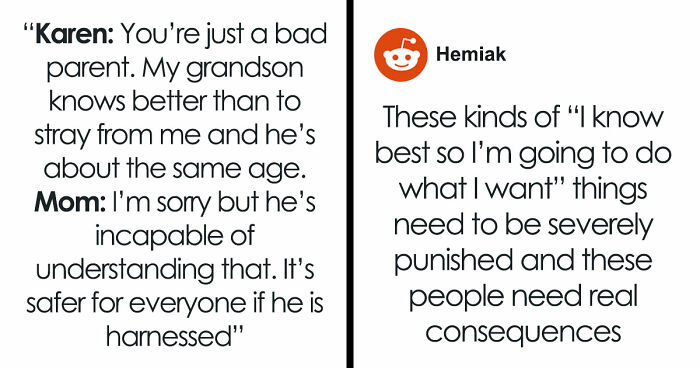 Mom Uses Harness On Autistic Kid, Old Woman Thinks It’s Just Bad Parenting, Kid Ends Up Missing