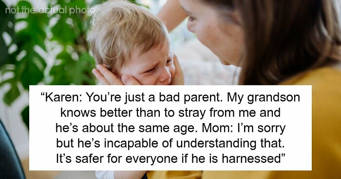 Mom Uses Harness On Autistic Kid, Old Woman Thinks It’s Just Bad Parenting, Kid Ends Up Missing