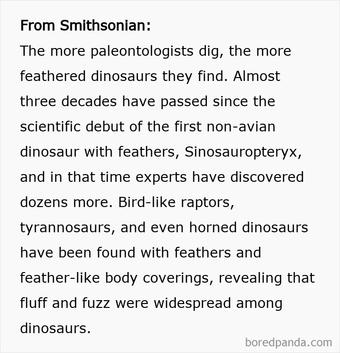 Text discussing the discovery of feathered dinosaurs and paleontology myths