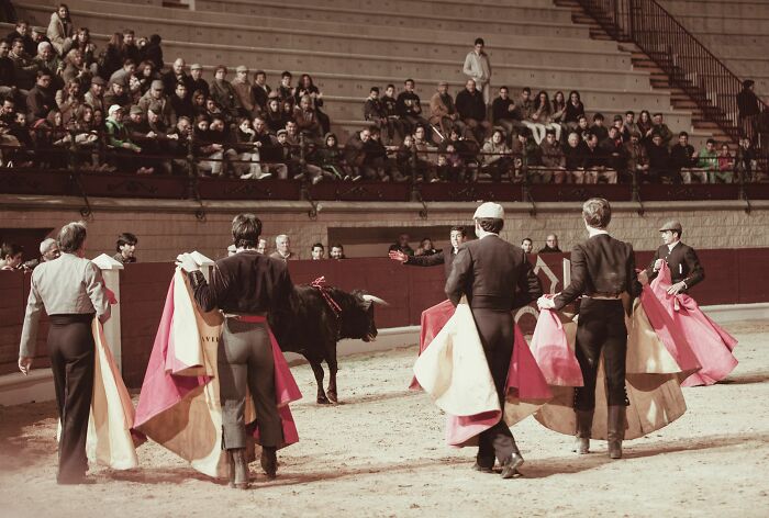 Matadors holding red and yellow capes facing a bull in an arena with audience