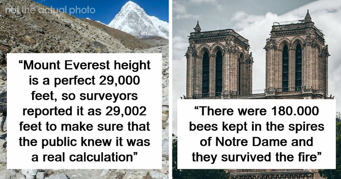 77 Cool Facts Ranging From Mildly Surprising To Truly Unbelievable (New Pics)