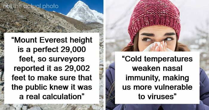 77 Cool Facts Ranging From Mildly Surprising To Truly Unbelievable (New Pics)