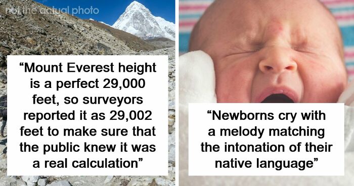 77 Cool Facts Ranging From Mildly Surprising To Truly Unbelievable (New Pics)