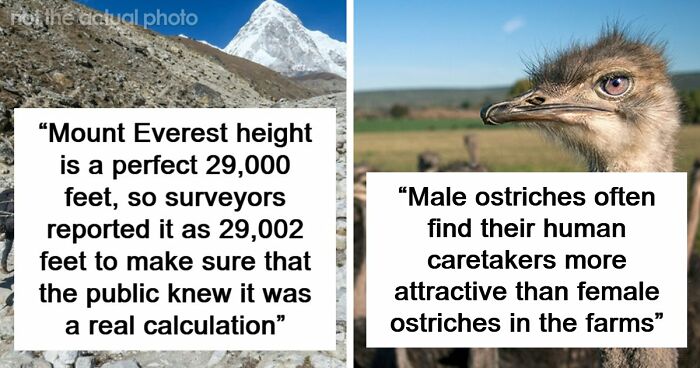 77 Cool Facts Ranging From Mildly Surprising To Truly Unbelievable (New Pics)