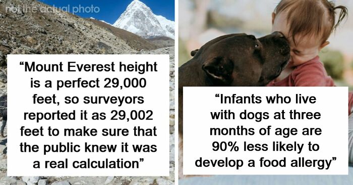 77 Cool Facts Ranging From Mildly Surprising To Truly Unbelievable (New Pics)