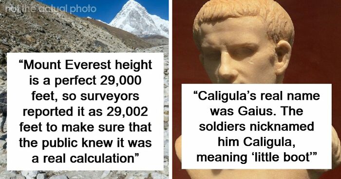 77 Cool Facts Ranging From Mildly Surprising To Truly Unbelievable (New Pics)