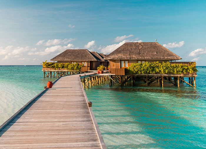 77 Cool Facts Ranging From Mildly Surprising To Truly Unbelievable (New Pics)