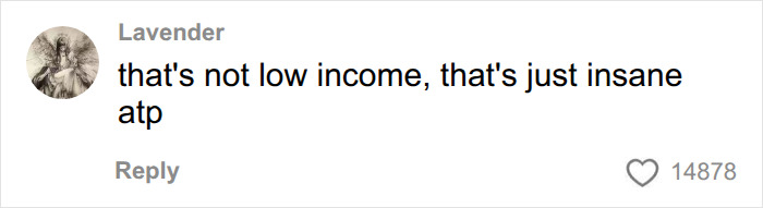 Comment saying low income hacks seem insane Comment saying low income hacks seem insane