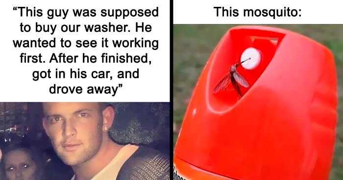 76 Mad Lads Who Saw A Rule And Took It As A Personal Challenge