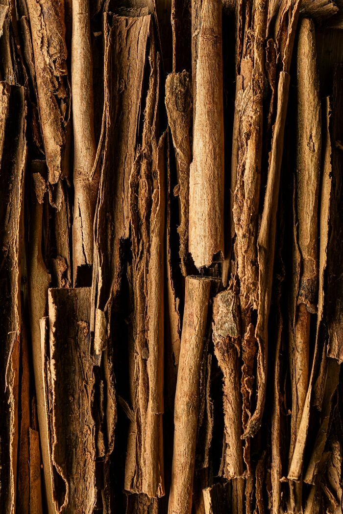 Close-up of cinnamon sticks arranged vertically, fresh food facts on spices