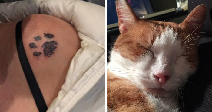 A diptych showing a paw print tattoo on skin and a sleeping orange and white cat. These tattoos celebrate a beloved pet.