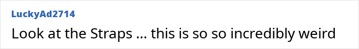 A comment about straps worn by Lilibet, adding to concern for Meghan Markle's kids from her Father's Day post. A comment about straps worn by Lilibet, adding to concern for Meghan Markle's kids from her Father's Day post.