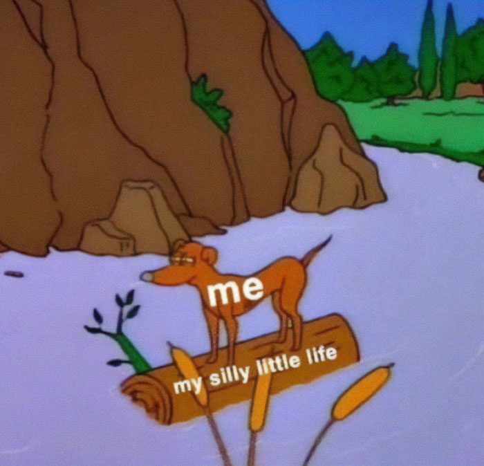 A relatable meme showing a dog labeled me struggling on a log labeled my silly little life, ideal for friends.