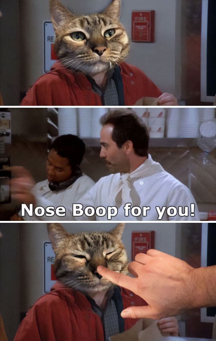 A humorous meme featuring a cat being nose booped, referencing the Soup N**i from Seinfeld, a funny meme to send friends.
