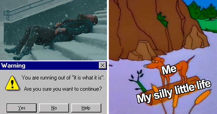 “Look, I Have A Meme To Show You”: 87 Memes You Might Want To Send Your Friends (New Pics)