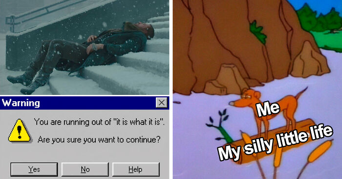 “Look, I Have A Meme To Show You”: 87 Memes You Might Want To Send Your Friends (New Pics)