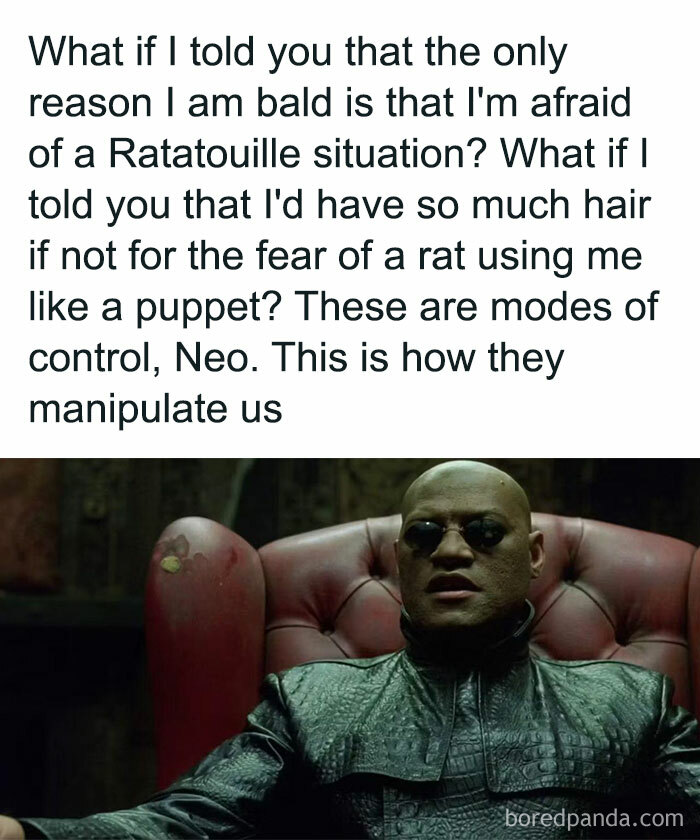 Morpheus from Matrix talking about baldness and rat control, weird random image