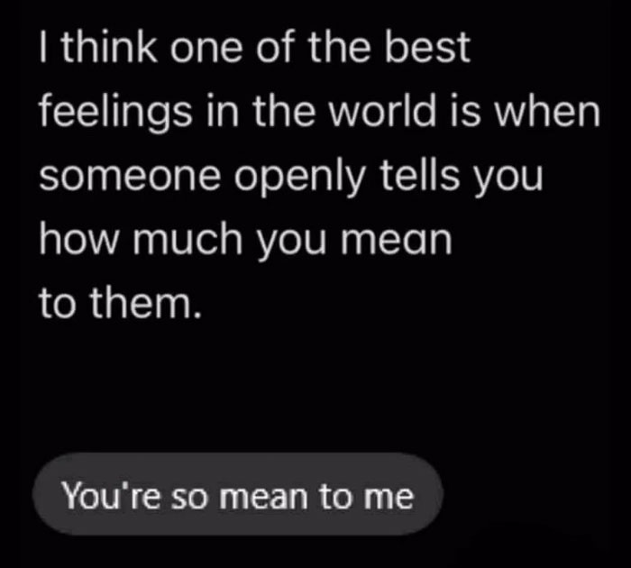 Text meme about misinterpreting mean comments as affectionate cheerfully pessimistic meme