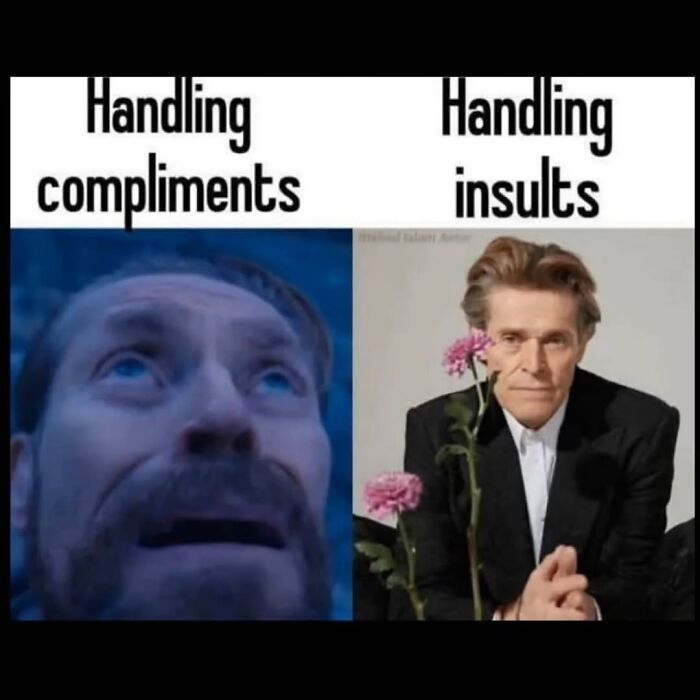 Cheerfully pessimistic meme contrasting handling compliments versus insults