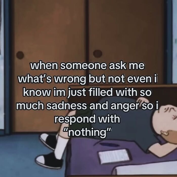Pessimistic meme about feeling sadness and anger and responding with nothing