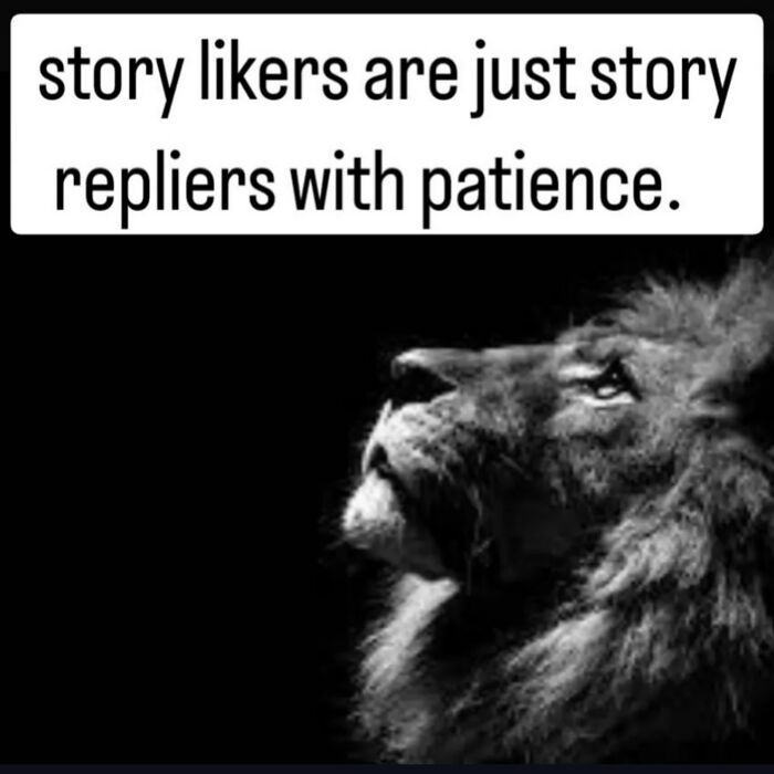 Cheerfully pessimistic meme about story likers being patient story repliers with a lion image
