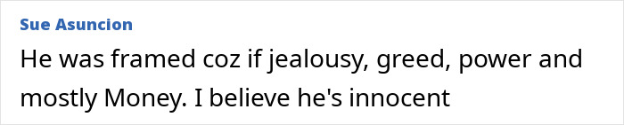Comment supporting Michael Jackson's innocence about Neverland bag allegations
