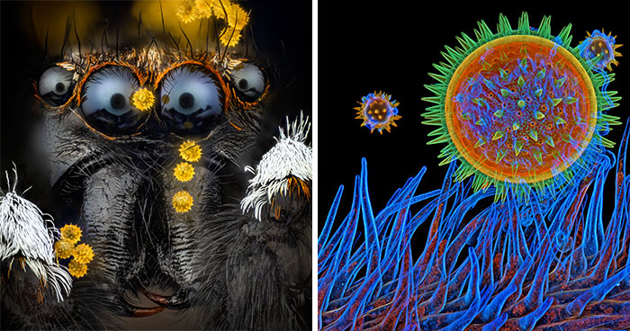Evident Scientific’s 2025 Image Of The Year Award: 17 Pics Revealing The Beauty Of Science