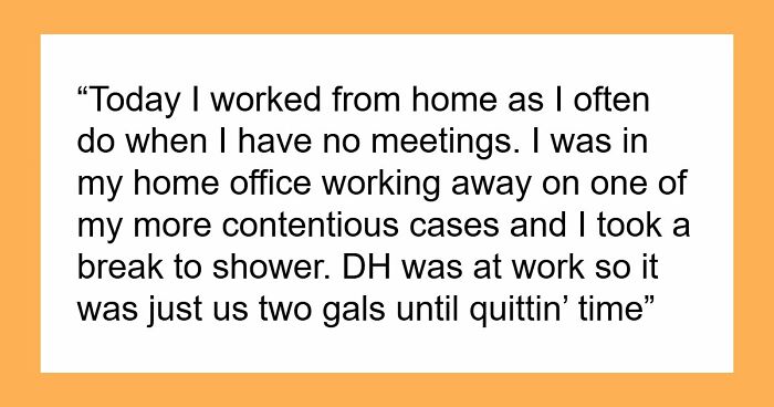 MIL Risks Attorney DIL’s Career For A Little Gossip, Shocked When Sorry Isn’t Enough To Fix It