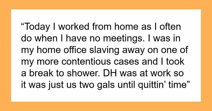 MIL Risks Attorney DIL’s Career For A Little Gossip, Shocked When Sorry Isn’t Enough To Fix It