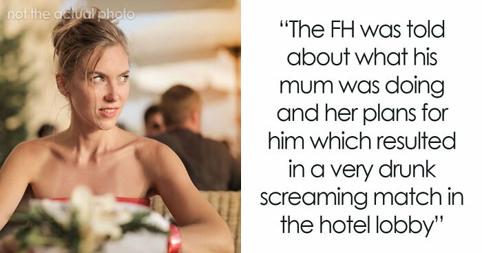 Woman’s Drunken Tantrum Over A Honeymoon Trip With Son Entertains The Whole Hotel