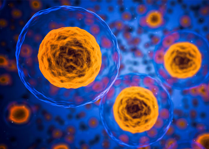 Mind-Blowing Simulation Reveals What 36 Hours Of Fasting Really Does To Your Body