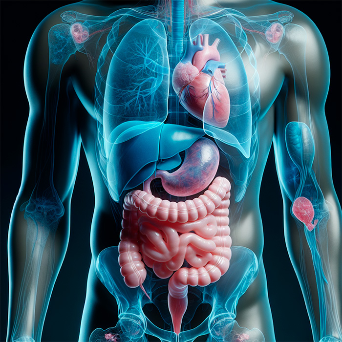 Mind-Blowing Simulation Reveals What 36 Hours Of Fasting Really Does To Your Body