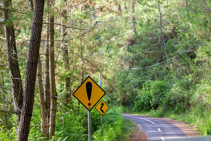 Warning road signs on winding forest road, symbolizing caution and anxiety in thought patterns