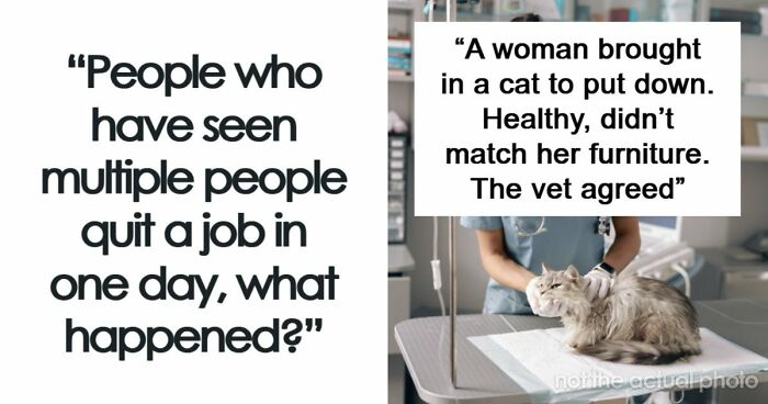 “About 100 Left”: 61 Stories Of Mass Walkouts That Left Managers Completely Speechless