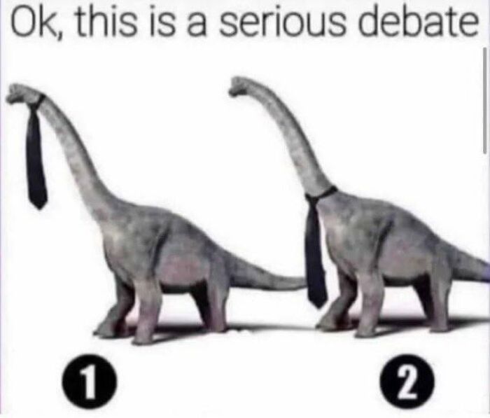 Two dinosaurs wearing ties in a serious debate illustration about scientific questions