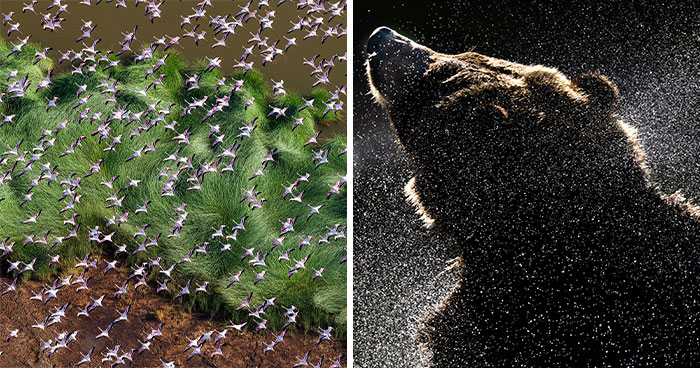 This Photographer Captures The Hidden Patterns That Make Nature Look Like Art (20 Images)