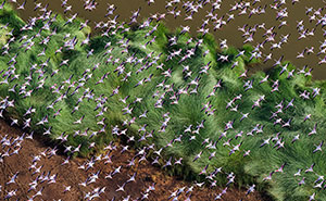 This Photographer Captures The Hidden Patterns That Make Nature Look Like Art (20 Images)