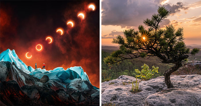 54 Winning Nature Photos From The 2025 Chromatic Awards That Celebrate The Power Of Color